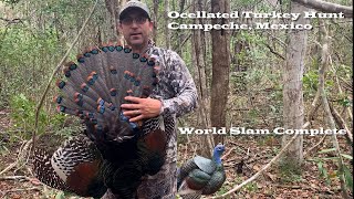 Epic Ocellated Turkey Hunt World Slam Complete [upl. by Sefton553]