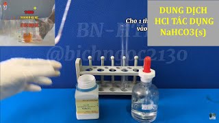 DUNG DỊCH HCl TÁC DỤNG MUỐI NaHCO3 rắn hoacobichngoc thinghiemhoahoc hoa10 [upl. by Aila]