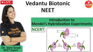 Introduction to Mendelian laws of inheritance  Principles of Inheritance  Vedantu Biotonic [upl. by Candless390]