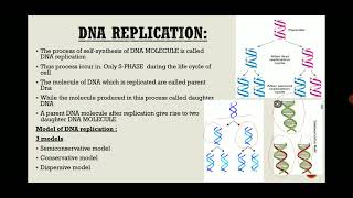 DNA REPLICATION 2023 HINDI URDU by federal board [upl. by Eartnoed1]