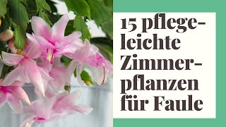 15 pflegeleichte Zimmerpflanzen für Faule [upl. by Sonitnatsnoc]