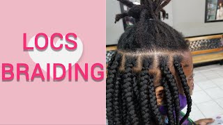 MUST WATCH LOCS BRAIDING  BOX BRAIDS OVER LOCS  DREADS [upl. by Danna]