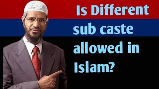 Is Different sub caste allowed in Islam [upl. by Pickford]