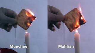 Cream Cracker Burn Test  Munchee vs Maliban [upl. by Slaughter]