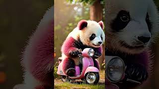 Bike Rider Panda🐼 cute adorablepanda bamboo viralvideo panda shorts [upl. by Atilehs]