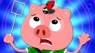 Shoo Fly Dont Bother Me  Nursery Rhyme  Kindergarten Song  Kids Rhyme For Baby [upl. by Anet646]