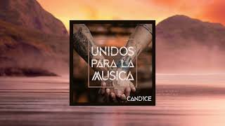 Unidos Para La Musica  David Vendetta  CANDICE REMIX [upl. by Amii]