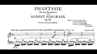 Schumann Fantasie in C Op17 Andsnes [upl. by Edroi]