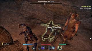 The Elder Scrolls Online Tamriel Unlimited Jorunn the Skaldking [upl. by Aiksa423]