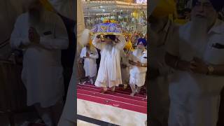 Sukhasan Shri Granth Sahib Ji Darbar Sahib harmandir sahib Golden temple Amritsar wmk shorts [upl. by Yelra]