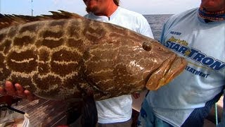 Ocean Fishing for Snapper and Grouper in Dry Tortugas [upl. by Halonna81]