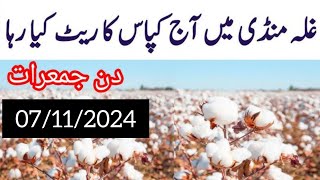 cotton rate todaytoday cotton pricetoday cotton price Punjab Pakistanaj kapas ka rate [upl. by Yursa276]