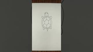 Easy tortoise drawing turtle drawing [upl. by Alfreda]