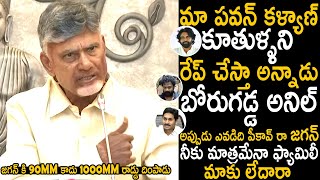 Chandrababu Naidu Strong Counter To Ys Jagan Comments On Pawan Kalyan  Telugu Cinema Brother [upl. by Rodmur]