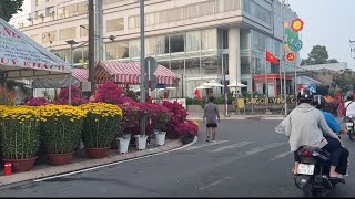 Flower Festival Vietnam  Chợ Hoa Tết tại Vĩnh Long  Tran Family 147 [upl. by Aisatan]