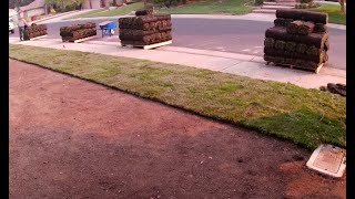 Replace Front Lawn with New Sod [upl. by Rehpetsirhc938]