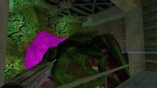 HalfLife Opposing Force Speedrun by SpiderWaffle HQ 2223 [upl. by Molli800]