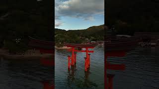 Miyajima Island Japan 0924 [upl. by Yrakaz]