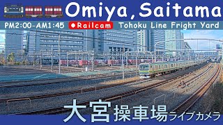 【LIVE】大宮操車場ライブカメラ 20241029 1400 OmiyaSaitamaJapan railcam [upl. by Alaikim]