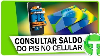 Como consultar o PIS pelo celular  Fácil e rápido [upl. by Eninnej]