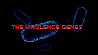 Agrobacterium Mediated Gene Transfer [upl. by Anrahc]