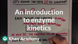 An introduction to enzyme kinetics  Chemical Processes  MCAT  Khan Academy [upl. by Eversole]