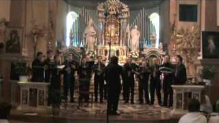 LAURIDSEN O magnum mysterium  CORO MASCHILE LA STELE [upl. by Ayahs942]