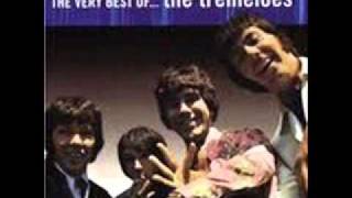 The Tremeloes  Silence is Golden 1967 [upl. by Accire]