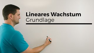 Lineares Wachstum alleine als Grundlage danach exponentielles Wachstum  Mathe by Daniel Jung [upl. by Henghold]