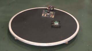 NRC 2013  Mini Sumo Preliminaries ft FACEPALM [upl. by Nivrag]