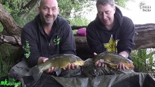 Karpfenangeln 2018Carpfishing ExtremZwischen Seerosen und Krautfeldern [upl. by Elram383]