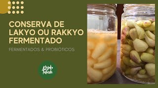 CONSERVA DE LAKYO OU RAKKYO FERMENTADO COMO FAZER  ALIMENTO FERMENTADO E PROBIÓTICO [upl. by Ezeerb408]