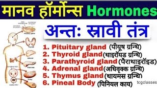 human endocrine glands मानव अंतः स्रावी ग्रंथियांby nihal sir [upl. by Katrinka176]