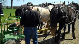 2010 Farm Day Prep13abreast HookupMP4 [upl. by Meibers]