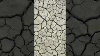 Area is covered with dry cracked mud result of severe dehydration of the soil [upl. by Thurlough]