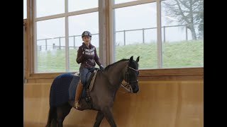 Dressage Training  How to Unlock Suppleness in Your Horse [upl. by Yllehs]