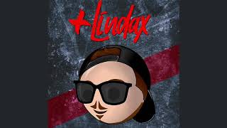 LINDA remix  dj Fer palacio [upl. by Yrrep]