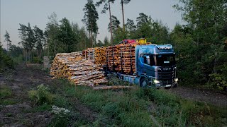 Simple reversing Loading birch pine and spruce pulpwood [upl. by Verner300]