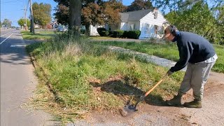 Transform OVERGROWN Lawn Neighbors GETTING MICE [upl. by Selassie]