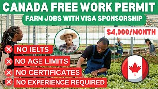 FREE WORK PERMIT FREE VISA EASIEST WAY TO MOVE TO CANADA WITHOUT IELTS [upl. by Syd]