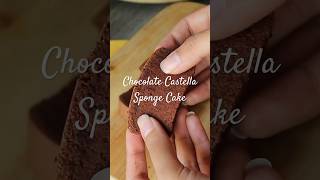 Softest Chocolate Castella Sponge Cake [upl. by Eniksre370]