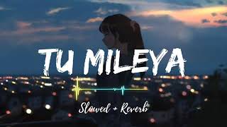 Tu Mileya Toh Jaane Na Doonga Main Full Song With Lyrics Atif Aslam  Toota Jo Kabhi Tara [upl. by Tuddor601]