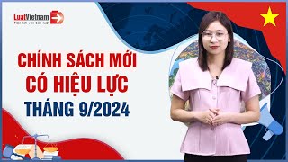 Chính Sách Mới Có Hiệu Lực Tháng 92024 Luật Đất Đai Và 3 Luật Có Hiệu Lực  LuatVietnam [upl. by Burgess318]