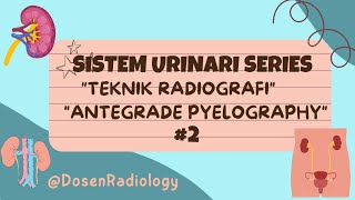 Teknik Radiografi Antegrade Pyelography APG urinary urinarysystem antegrade pyelonephritis [upl. by Ofilia]