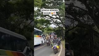 BUMBLEBEE YELLOW BEE BOS KECIL😍🔥 teloletbasuri busmania videobus masukberanda [upl. by Aiekal538]