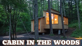 How to Build a Small Cabin with an Area Of 51 Square Meters in a Forest in Japan [upl. by Sonaj614]