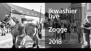 Jaarmarkt Zogge 2018 met keuring 111 Belgische trekpaarden warmbloedpaarden en pony’s [upl. by Airemat]