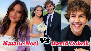 Natalie Noel Vs David Dobrik Lifestyle Relationship Biography Age Height Weight Net Worth 2024 [upl. by Polad]