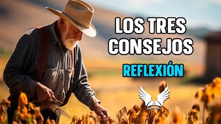 Los Tres Consejos  Reflexiones de Vida que Cambiarán tu Perspectiva  Historias con reflexion [upl. by Yasui243]