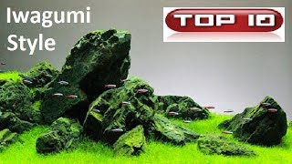 Top 10 Acquari Iwagumi straordinari 🐠 [upl. by Atews]